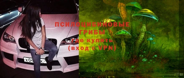 экстази Арсеньев